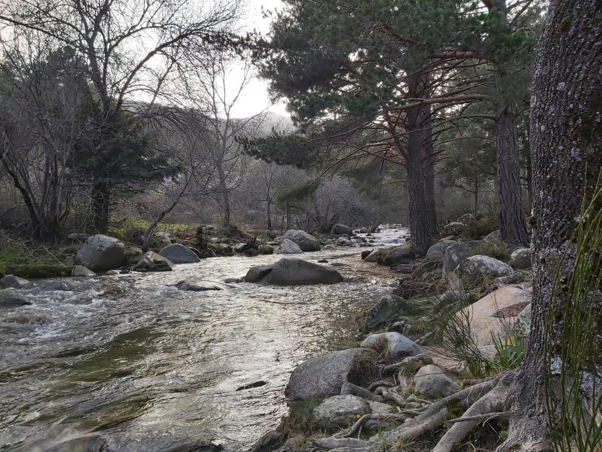 Acero Y Piedra Apartamentos Con Jardin Privado Cerceda  ภายนอก รูปภาพ